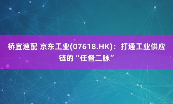 桥宜速配 京东工业(07618.HK):打通工业供应链的“任督二脉”