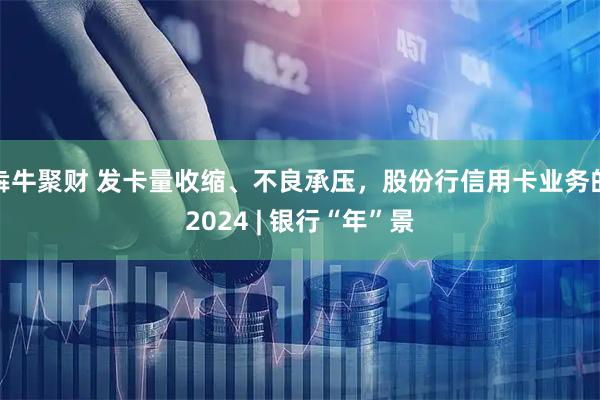 犇牛聚财 发卡量收缩、不良承压，股份行信用卡业务的2024 | 银行“年”景