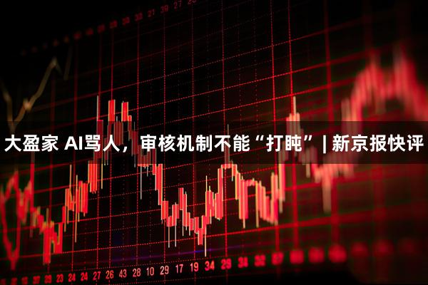 大盈家 AI骂人，审核机制不能“打盹” | 新京报快评