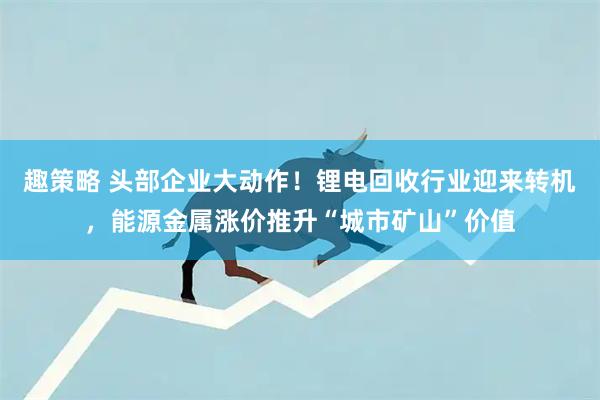 趣策略 头部企业大动作！锂电回收行业迎来转机，能源金属涨价推升“城市矿山”价值
