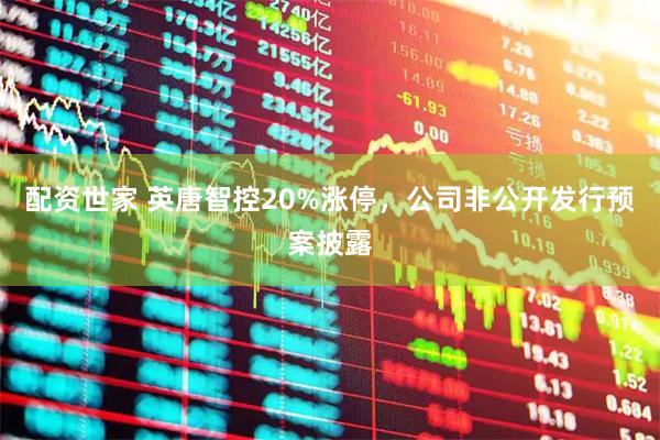 配资世家 英唐智控20%涨停，公司非公开发行预案披露
